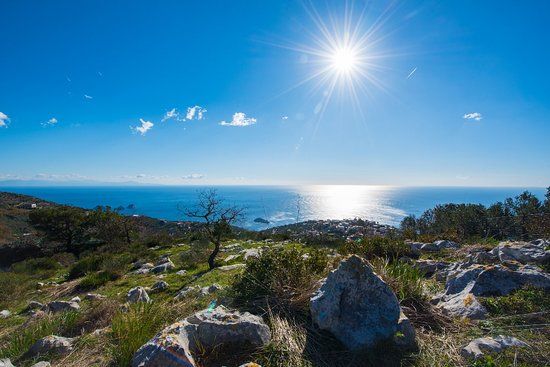 Agriturismo Fattoria Terranova